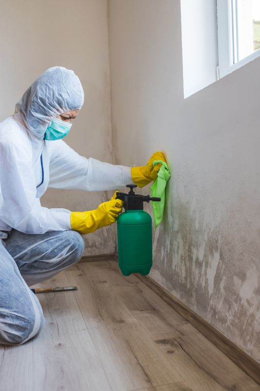Mold Remediation Specialists
